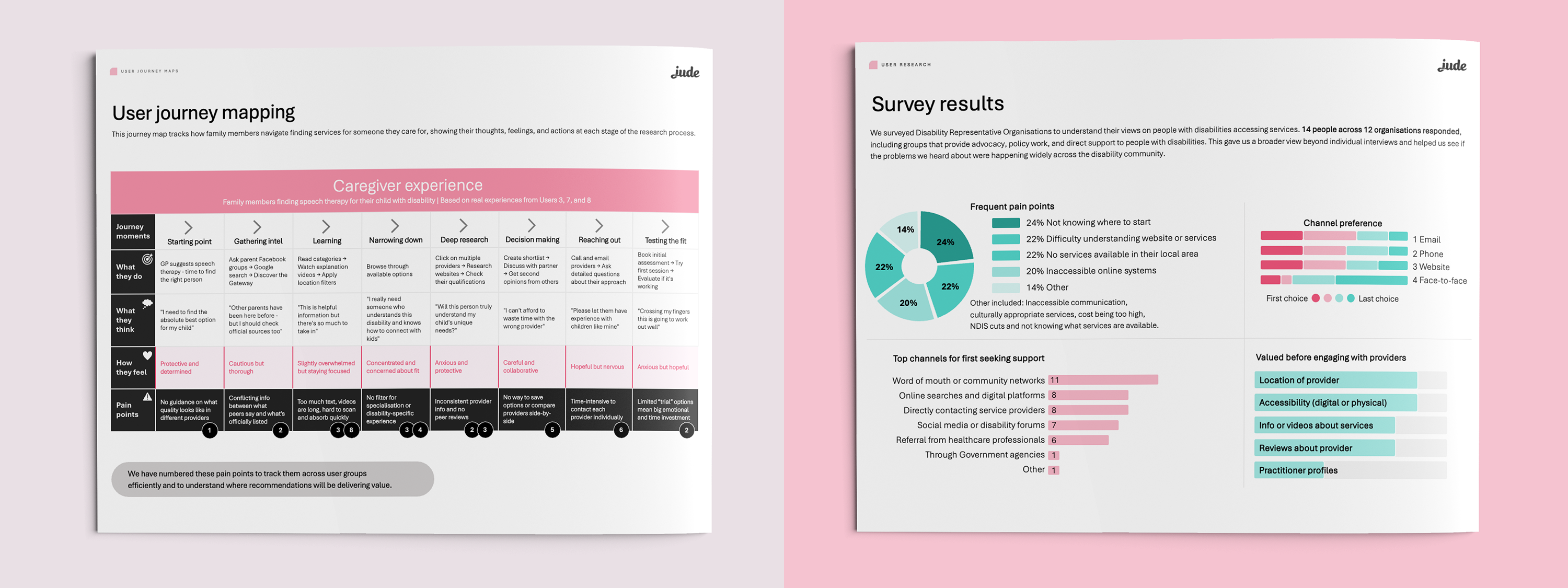 Image of report outputs, including a page on User journey mapping and another page on Survey results.