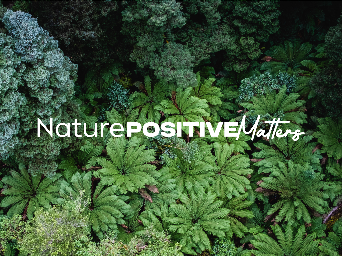 Image card for Driving nature positive change in the private sector